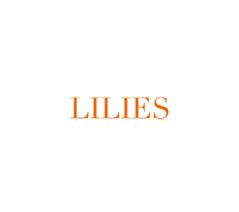 Lilies